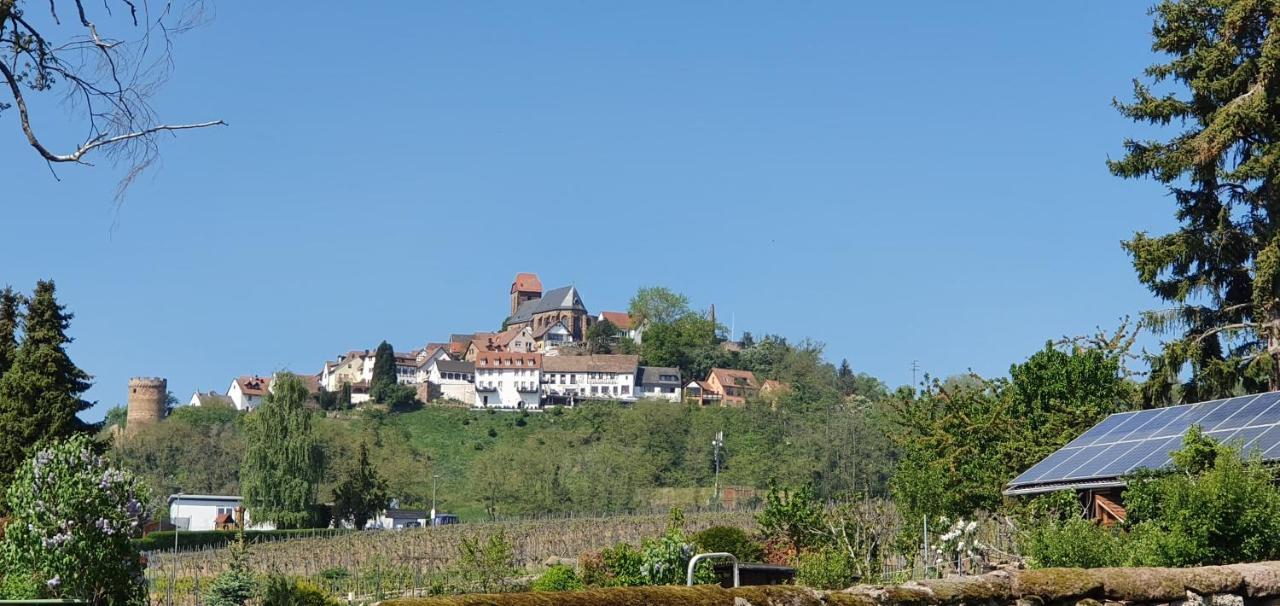 Hôtel Landgasthaus "Zum Engel" à Neuleiningen Extérieur photo